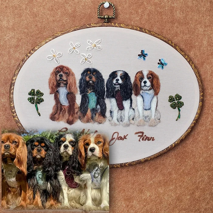 When Colors Come Alive in Wool: The Cavalier Team