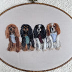 Pet’s friendship(two, three, and four pets)